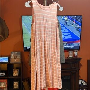 Time and Tru Pink Striped Dress